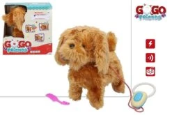 Cane Filoguidato- Abbaia, Scondizola E Cammina